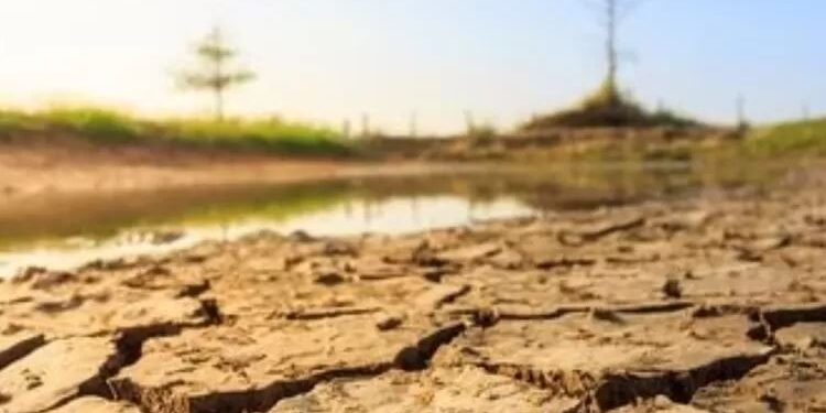 Ribuan Hektare Sawah di Serang Kekeringan