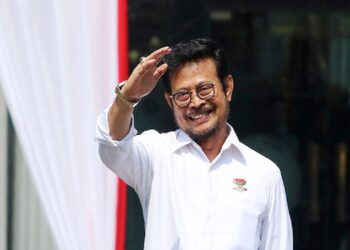 Syahrul Yasin Limpo. Foto: Net