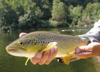 Pemkot Tangerang Siapkan Satu Ton Ikan di Acara Mancing Bareng di Cisadane