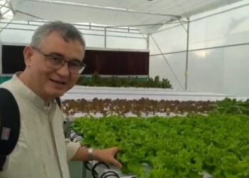 Dr. Phil., Ir. Rino Wicaksono, ST, MArchUD, MURP