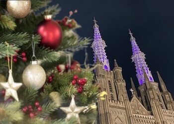 katedral
