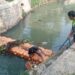 Antisipasi Banjir di Musim Penghujan, DLH Tangsel Intensifkan Pembersihan Sampah