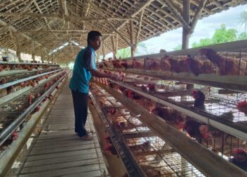 Program BRI KlasterkuHidupku