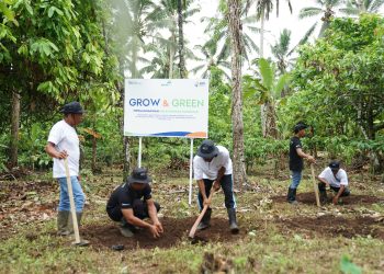 Menanam Tanaman Produktif di Lahan Kritis, BRI Grow & Green Berdayakan Dua Kelompok Tani di Bali
