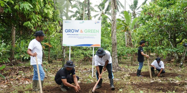 Menanam Tanaman Produktif di Lahan Kritis, BRI Grow & Green Berdayakan Dua Kelompok Tani di Bali