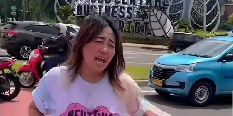 Pinkan Mambo Ngamen di Lampu Merah BSD, Netizen: Mungkin Mentalnya Terganggu