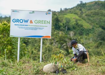 Bangkitkan Harapan Petani di Lahan Kritis, BRI Menanam Grow & Green Salurkan Bantuan Tanaman Produktif