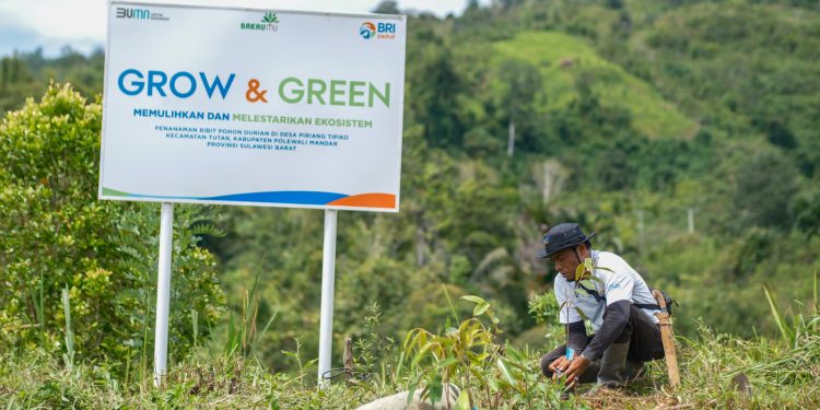 Bangkitkan Harapan Petani di Lahan Kritis, BRI Menanam Grow & Green Salurkan Bantuan Tanaman Produktif