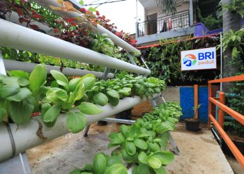 Menyusuri Kampung Palm Eco Green Village Malang, Makin Asri Berkat Program BRInita