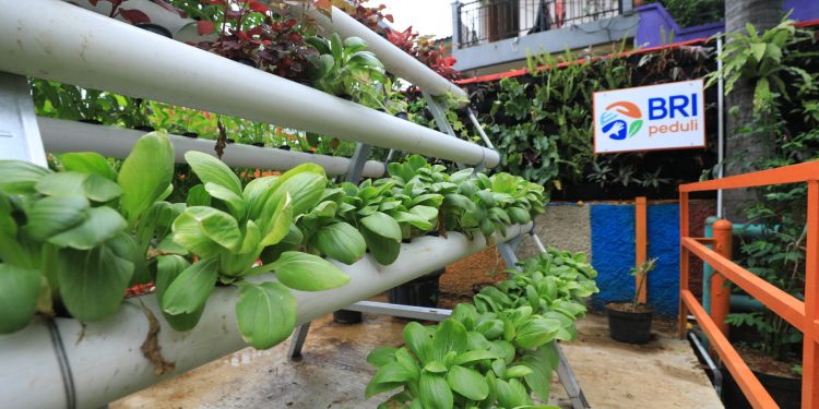 Menyusuri Kampung Palm Eco Green Village Malang, Makin Asri Berkat Program BRInita