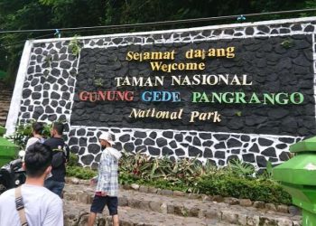 gunung pangrango
