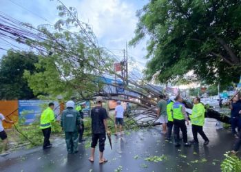 Hujan Deras, Polres Tangsel Evakuasi Pohon Tumbang di Cirendeu