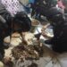 Ratusan Butir Peluru dan Granat di Depok Diamankan Tim Gegana Polri
