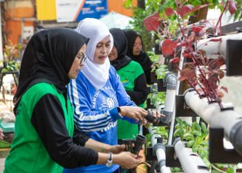 Berkat Program BRInita, Kelompok PKK Rawa Barat Sukses Budidaya Hidroponik dan Ikan Nila