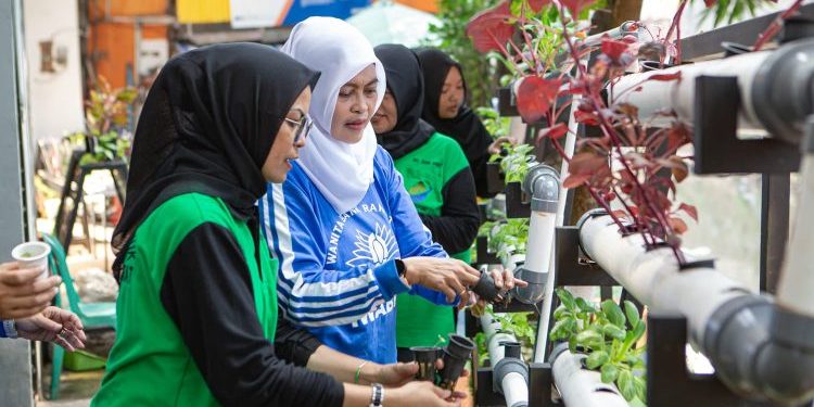 Berkat Program BRInita, Kelompok PKK Rawa Barat Sukses Budidaya Hidroponik dan Ikan Nila