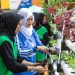 Berkat Program BRInita, Kelompok PKK Rawa Barat Sukses Budidaya Hidroponik dan Ikan Nila