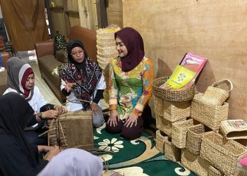 Menengok Klaster Usaha Binaan BRI, Manfaatkan Hama Eceng Gondok Jadi Anyaman Bernilai Tinggi