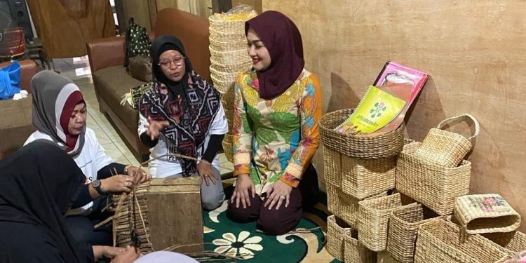 Menengok Klaster Usaha Binaan BRI, Manfaatkan Hama Eceng Gondok Jadi Anyaman Bernilai Tinggi