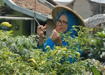 Program BRInita Sukses Jadikan Kelurahan Padjajaran Bandung Jadi Percontohan Urban Farming