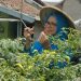 Program BRInita Sukses Jadikan Kelurahan Padjajaran Bandung Jadi Percontohan Urban Farming