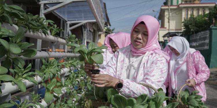 Program BRInita Sulap Lahan Sempit Jadi Urban Farming yang Produktif