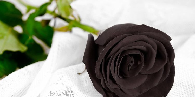 Kelelahan, Empat Petugas KPPS di Sulsel Meninggal Dunia