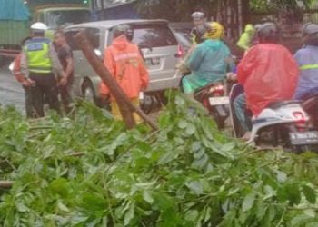 Polsek Ciputat Timur-DLH Tangsel Lakukan Penanganan Pohon Tumbang dan Lalin di Jalan RE Martadinata