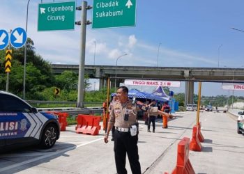 tol bocimi