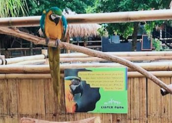 Ciater Park, Destinasi Wisata Populer dan Ramah Anak di Serpong