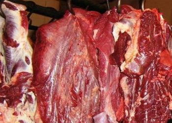 Wujudkan Swasembada di 2026, Pemerintah Dorong Peningkatan Produksi Daging Nasional