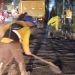 Demi Kelancaran Arus Mudik, Pemkot Tangsel Persiapkan Infrastruktur Jalan Raya