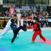 Pemkot Bersama IPSI Tangsel Gelar Pencak Silat C-more Championship