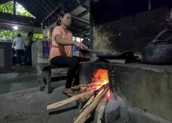 kopi luwak kintamani