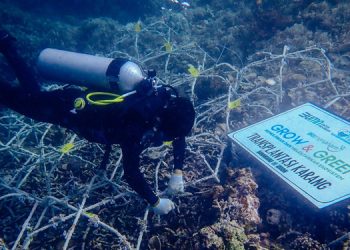 BRI Menanam Grow & Green Bantu Jaga Ekosistem Laut dan Kembangkan Potensi Wisata Daerah