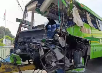 bus bimario