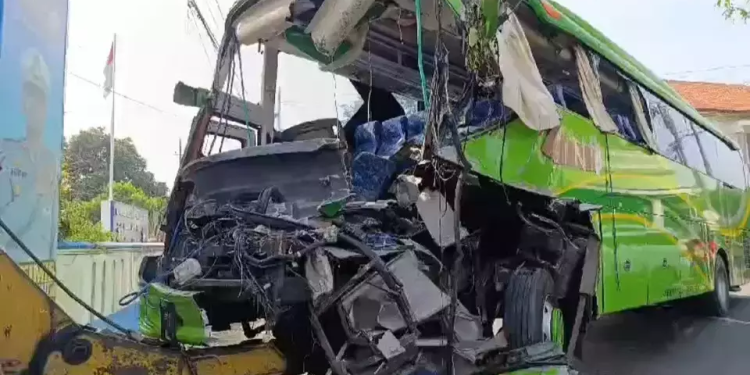bus bimario