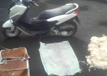 Curi 88 Ekor Ayam Potong, Seorang Pemuda Terancam Hukuman Penjara 5 Tahun