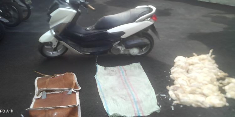Curi 88 Ekor Ayam Potong, Seorang Pemuda Terancam Hukuman Penjara 5 Tahun