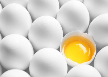 Ditemukan, 10 Manfaat Berlimpah Telur Ayam Kampung Bila Dimakan Mentah