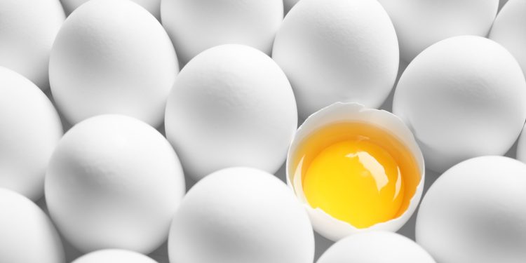 Ditemukan, 10 Manfaat Berlimpah Telur Ayam Kampung Bila Dimakan Mentah