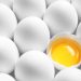 Ditemukan, 10 Manfaat Berlimpah Telur Ayam Kampung Bila Dimakan Mentah