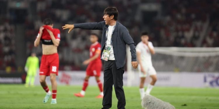 shin tae yong