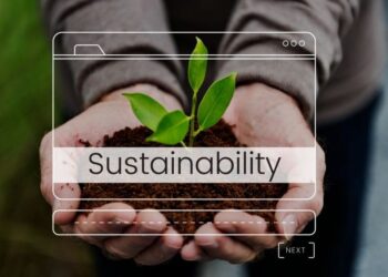 Ruang Lingkup Manajemen Keuangan untuk Keberlanjutan Perusahaan