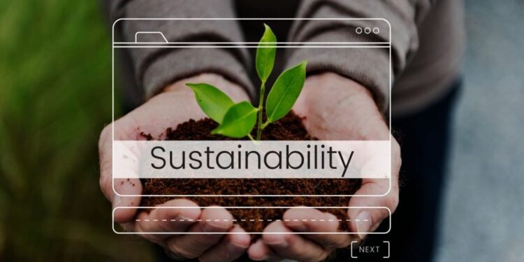 Ruang Lingkup Manajemen Keuangan untuk Keberlanjutan Perusahaan