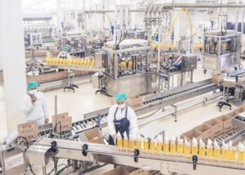 Kegiatan Usaha PT Sinar Mas Agro Resources and Technology Tbk