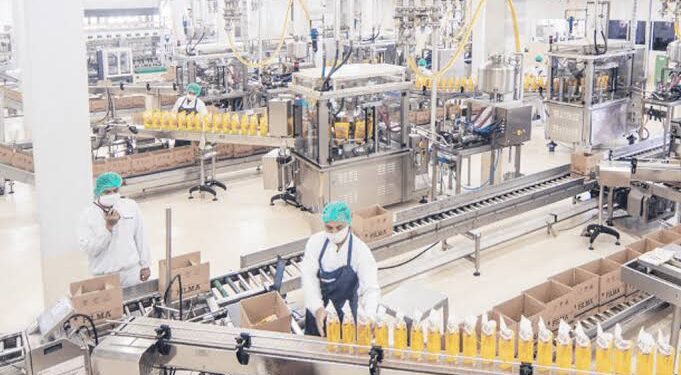 Kegiatan Usaha PT Sinar Mas Agro Resources and Technology Tbk