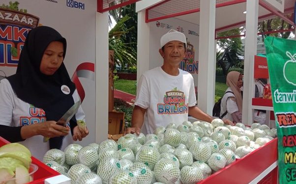 KUR BRI Dorong Kemajuan Klaster Jambu Kristal di Purworejo