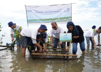 Asuransi Astra Tanam 1.000 Pohon Mangrove di Pulau Seribu