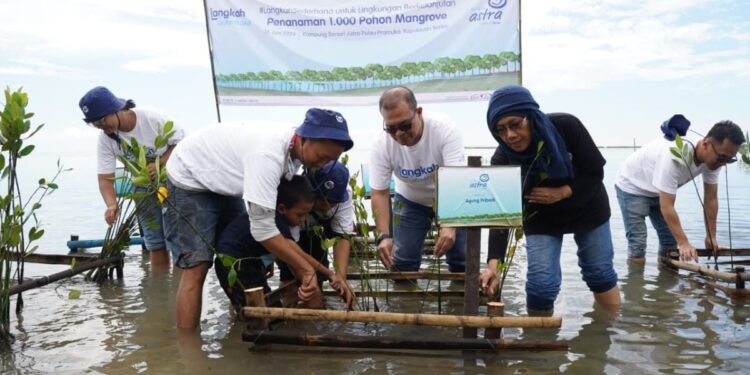 Asuransi Astra Tanam 1.000 Pohon Mangrove di Pulau Seribu
