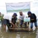 Asuransi Astra Tanam 1.000 Pohon Mangrove di Pulau Seribu